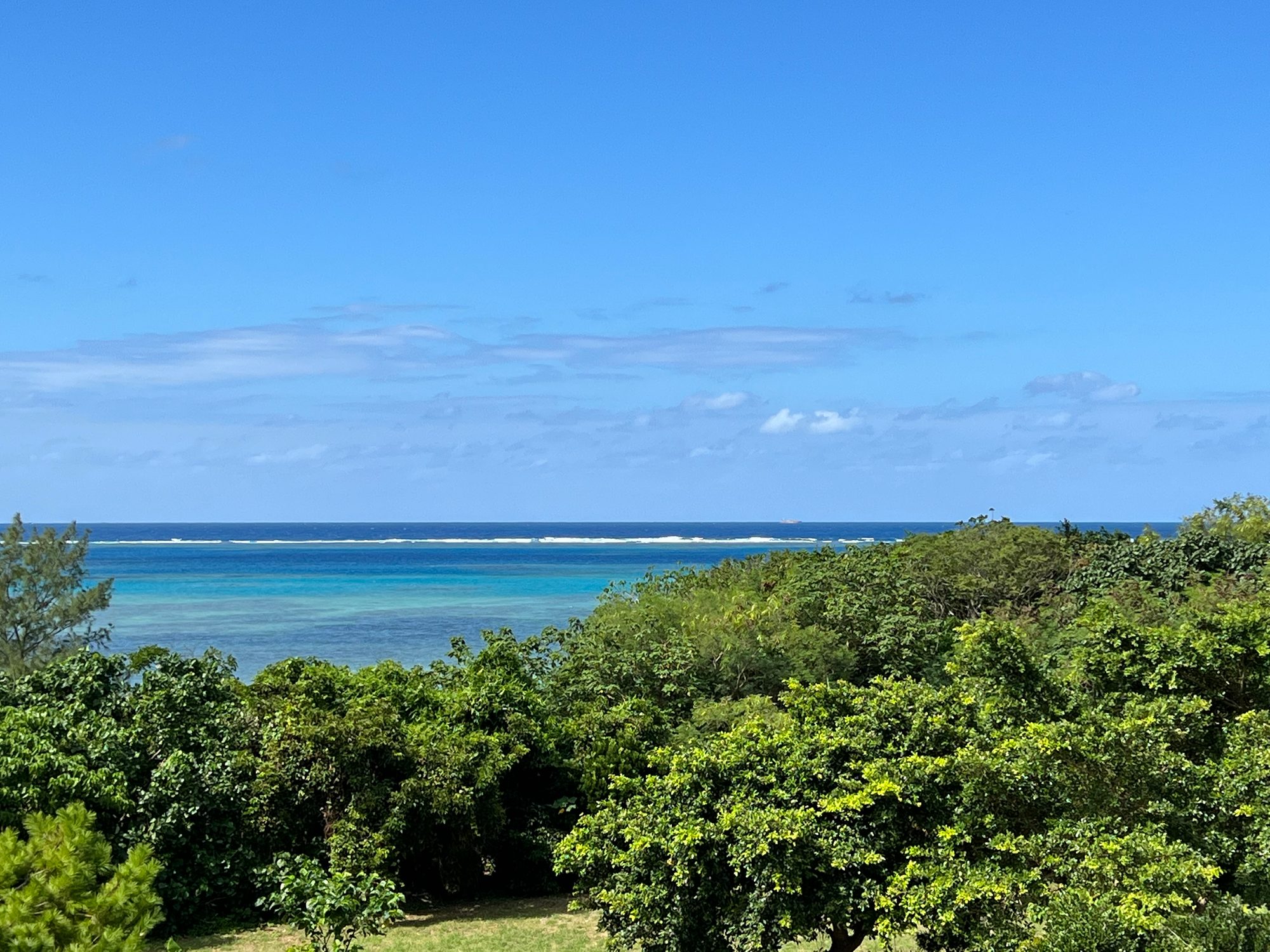 石垣島の風景。緑の木々の向こうにサンゴ礁のリーフラインとエメラルドグリーンの海