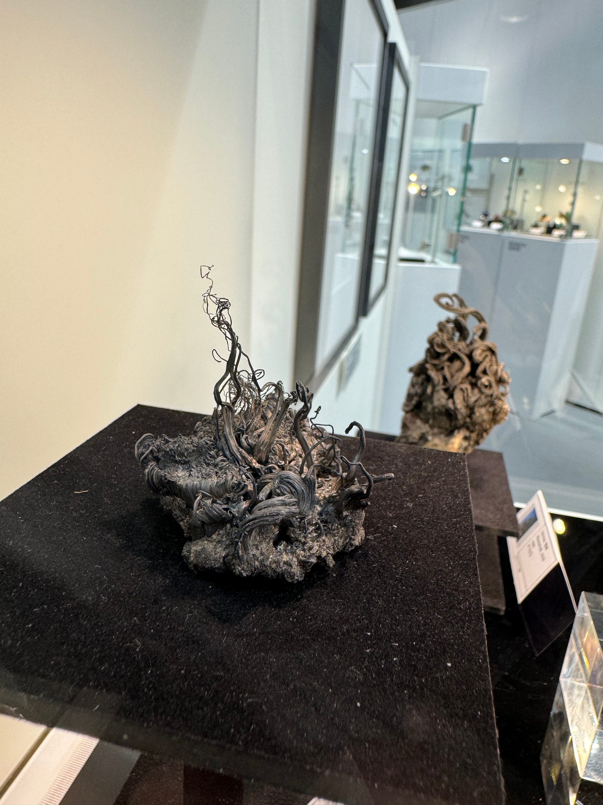 ミュンヘンのミネラルショーで展示された自然銀。針金状に縮れた銀の結晶が黒い台に立つ