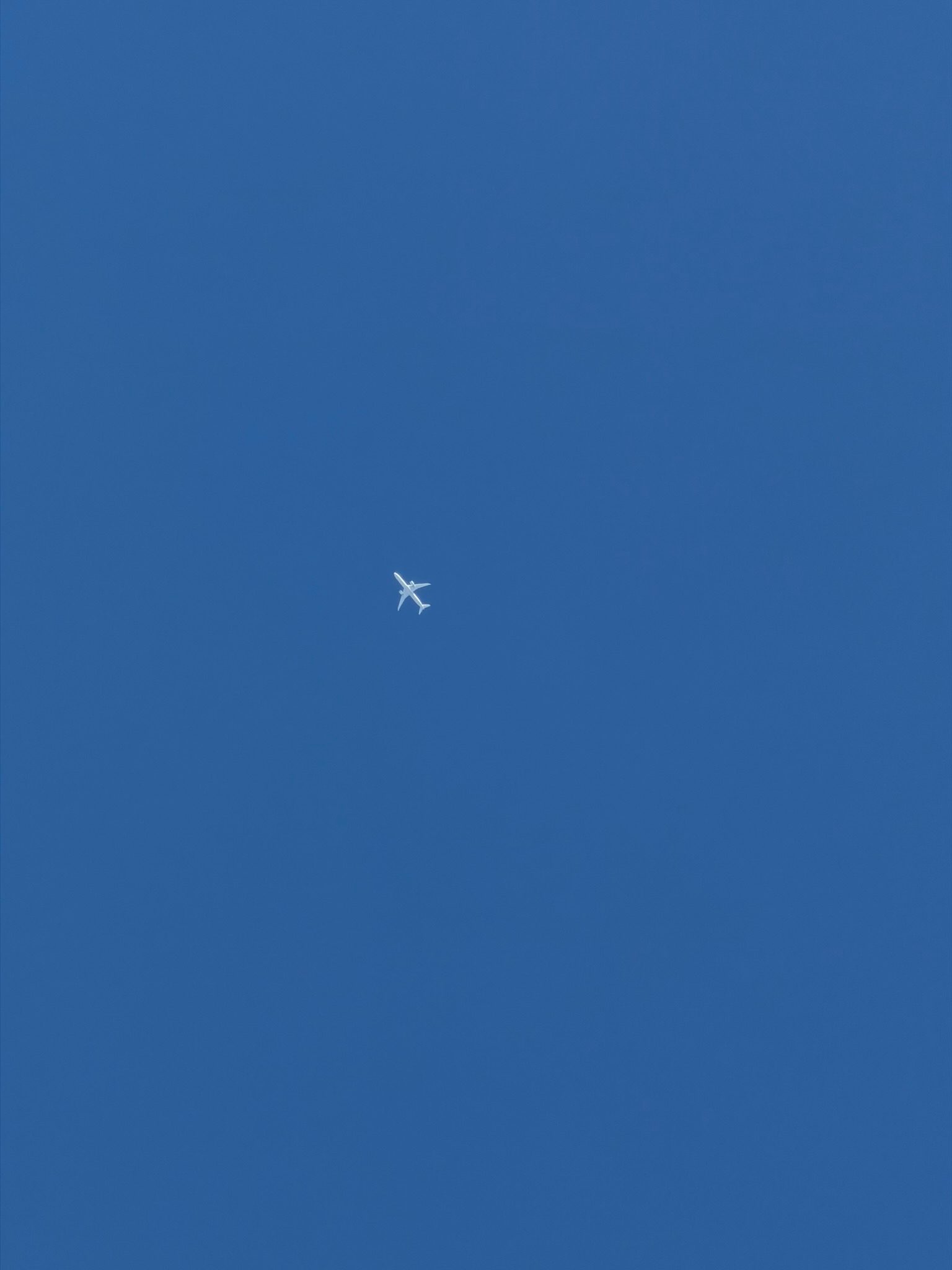 快晴の青空を横切って飛ぶ飛行機
