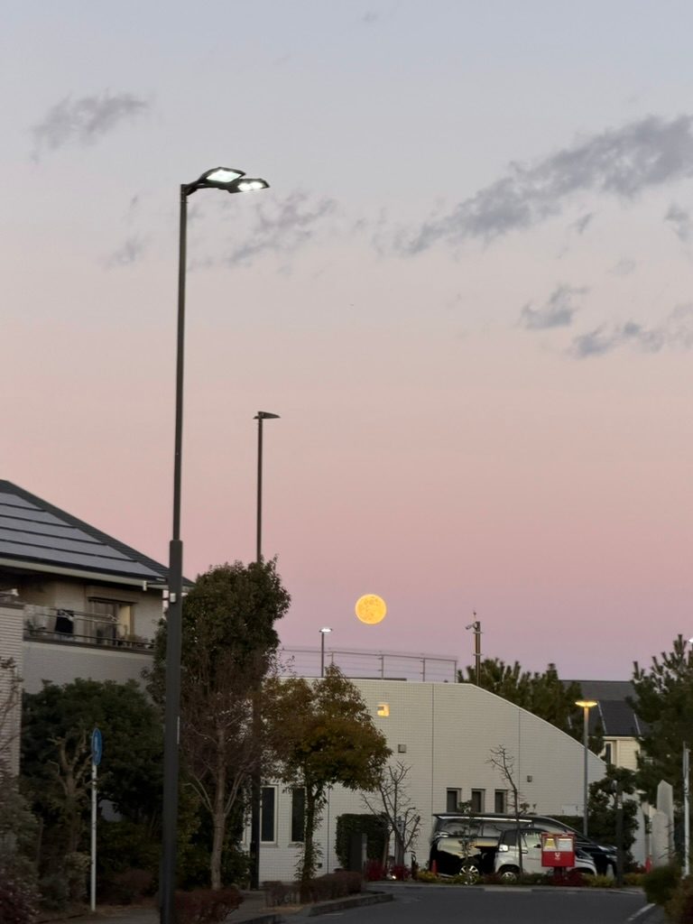 夕暮れの薄紫の空に昇る満月。街灯と住宅街のシルエット