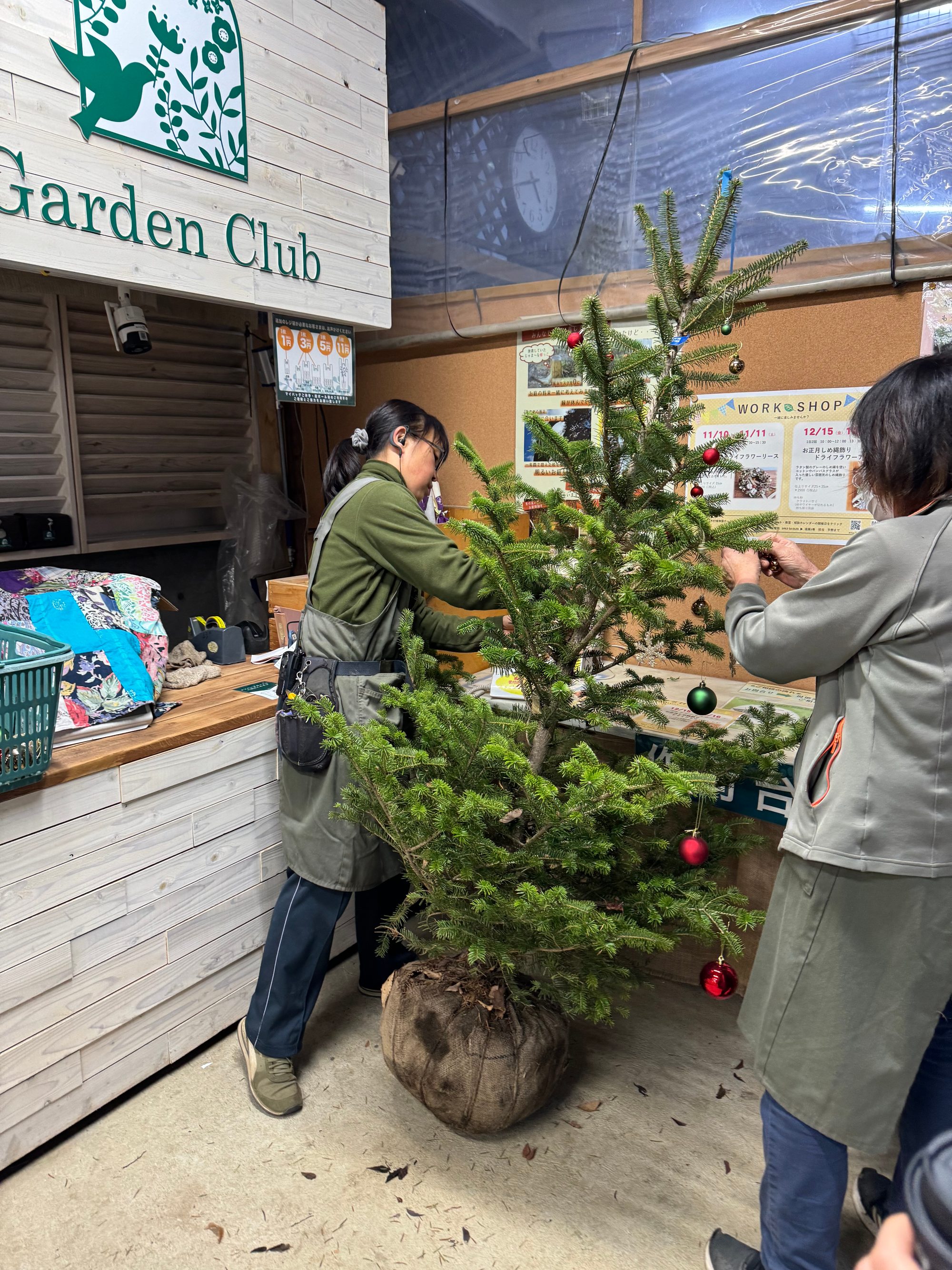 クリスマスツリーを入手した